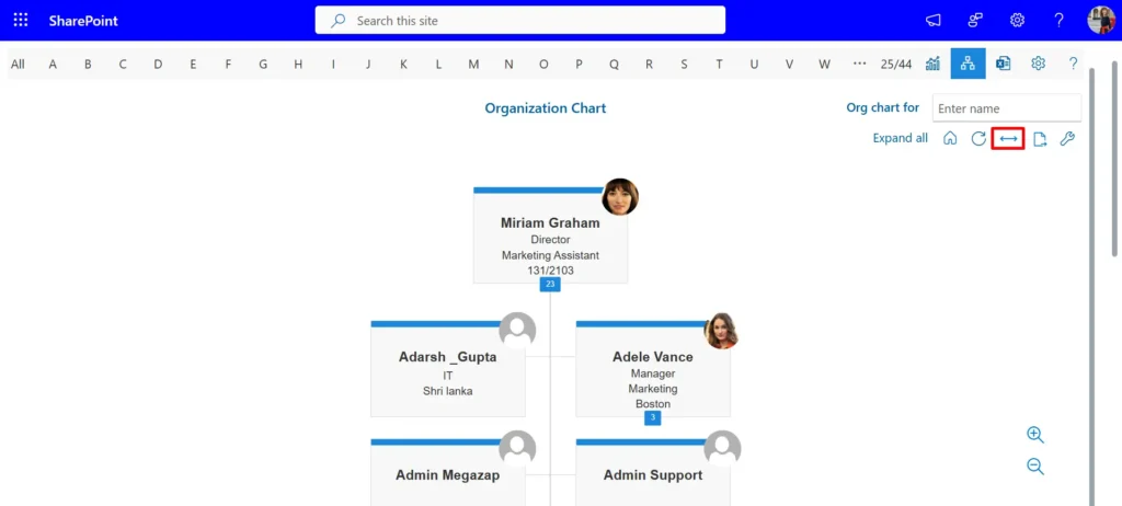 organization chart view
